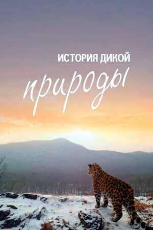История дикой природы (сериал 2020)