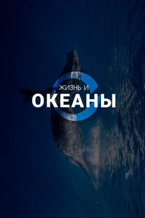 Жизнь и Океаны (сериал 2025)
