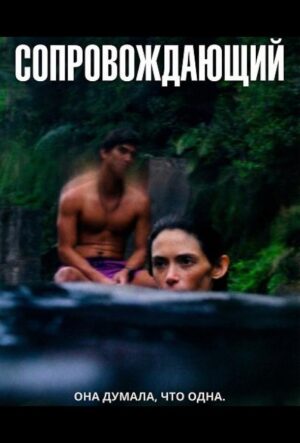 Сопровождающий (2024)